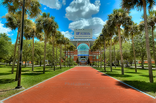 佛罗里达大学University of Florida