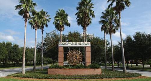 University of south Florida南佛罗里达大学怎么样